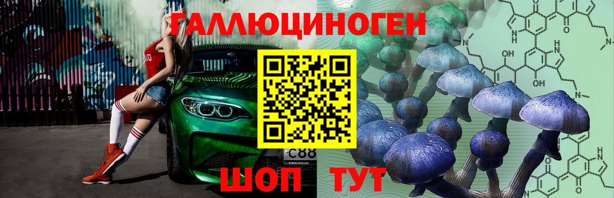 Псилоцибиновые грибы мицелий Чайковский